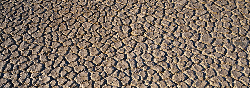 广角视角下的干涸大地裂纹