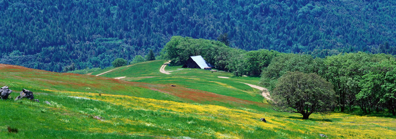 山野花海小屋，田园牧歌诗意栖居