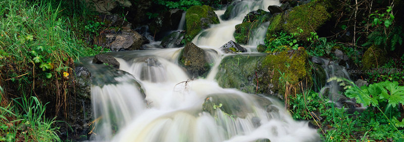山涧溪流奔腾于青苔覆盖的岩石间