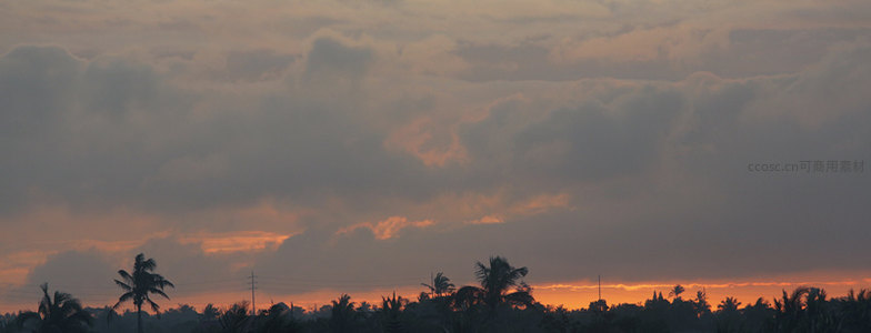 热带日落云海，棕榈树剪影映霞光