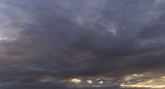 孤鸟掠过阴沉云幕