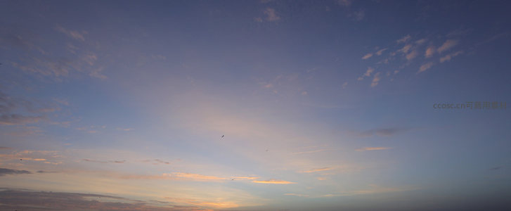 飞鸟掠过霞光满天际