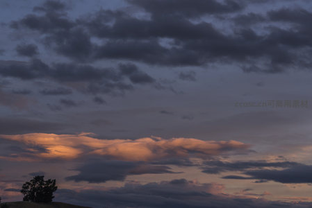 暮色苍穹，孤树剪影映霞光