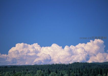 森林之上巨云翻涌，天地壮阔无垠