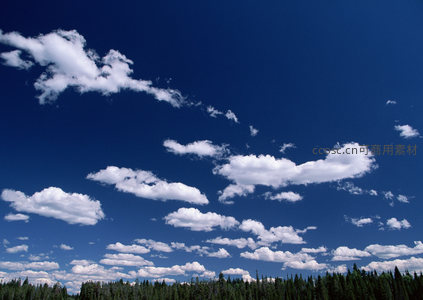 深邃蓝天与森林树冠的壮阔交响