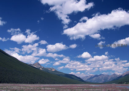 山峦花海与万里晴空