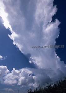 巨大积雨云下的草坡