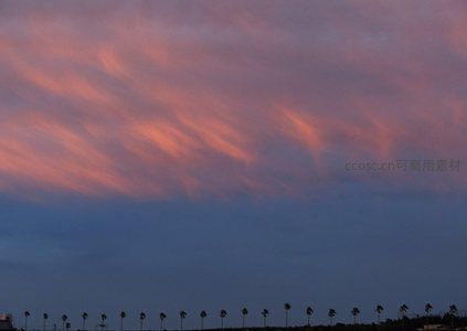 粉紫云带掠过棕榈树梢