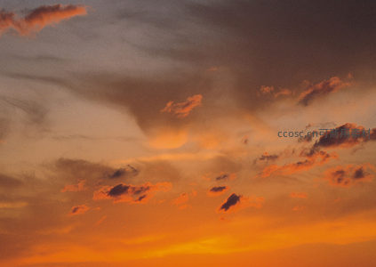 火烧云染透天际，暮色温柔如画