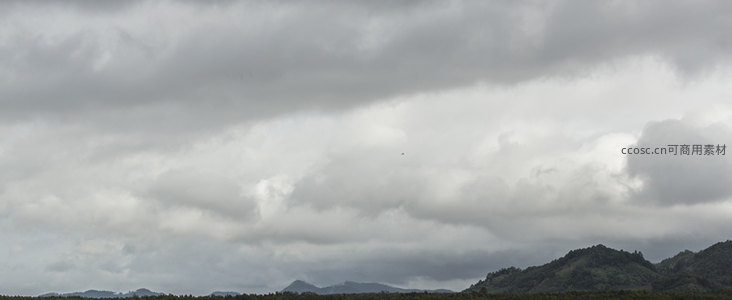 灰云笼罩山野，孤鸟掠过苍穹