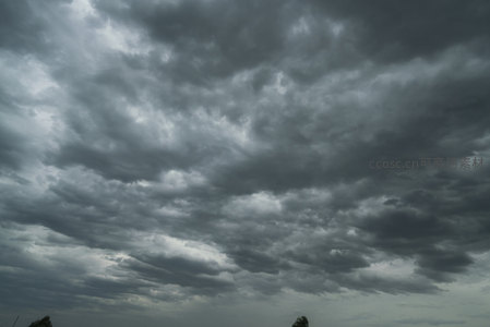 低垂的积雨云笼罩大地，树梢隐约可见