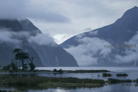云海中的孤树与峡湾