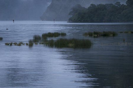 暮色湖中水草丛生