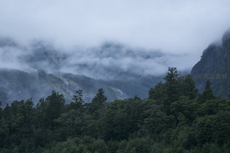 森林之上云海翻腾，如梦似幻