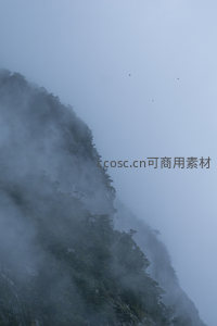 云雾中的陡峭山崖，孤鸟翱翔
