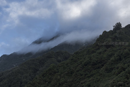 云层低垂山腰，绿意盎然坡面