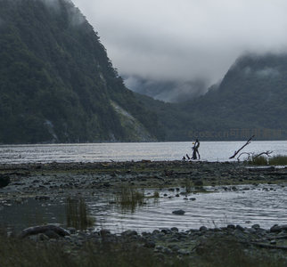 孤独身影伫立在雾气弥漫的湖畔
