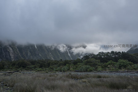 云海覆盖山谷绿意盎然