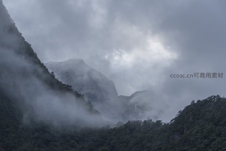 云雾山谷，苍翠林海掩峰峦
