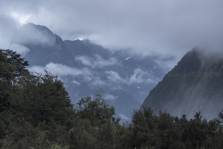 云雾缭绕的山峦与森林