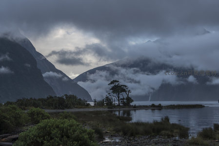 孤树静立湖心云雾弥漫