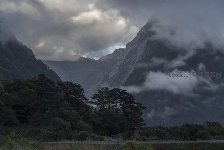 云雾缭绕的山峦与静谧森林