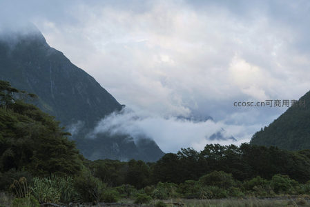 云海漫过山谷掩映苍翠山峰