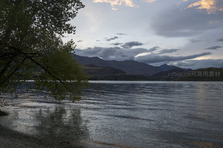 枝叶探湖面，山影沉暮霭之中