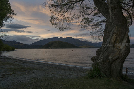 古树临湖，暮色苍茫山影朦胧