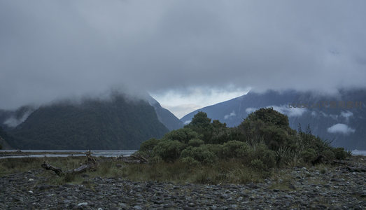 雾锁山谷，荒滩草木显野趣