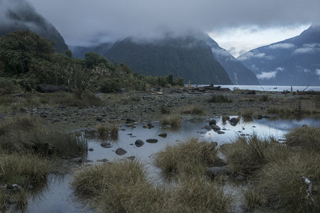 云雾缭绕的峡湾湿地风光
