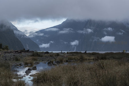 云海深处的山涧湿地