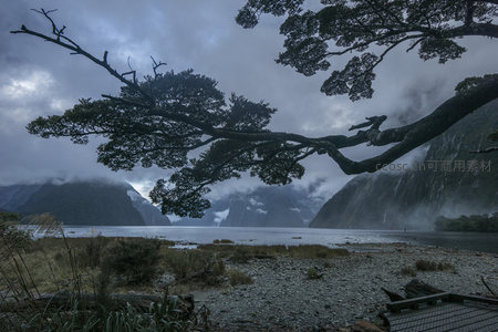 巨树横斜遮天蔽日，远山云海如梦似幻