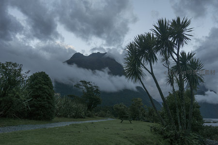 云雾缭绕的山峦与热带植物