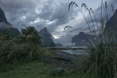 芦苇摇曳于湖畔，远山如黛云层低垂显壮阔