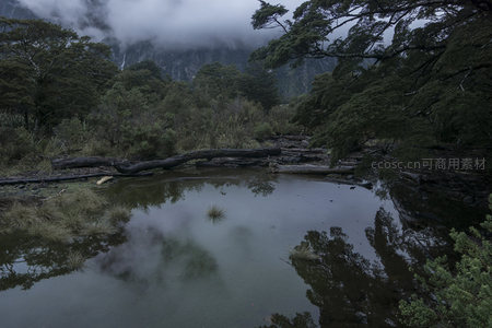 云雾山林静谧水潭倒影如画