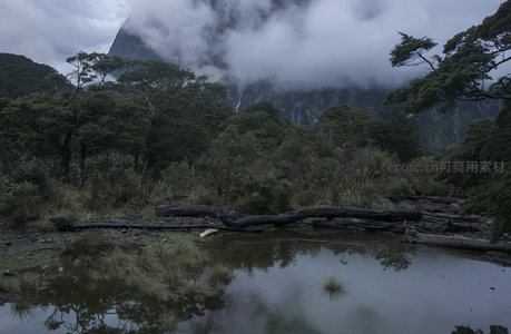云海缭绕山间溪流静卧林中