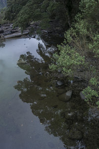 清澈溪水倒映绿树石滩幽静