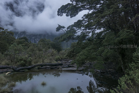 云雾森林中水潭倒影山色苍茫