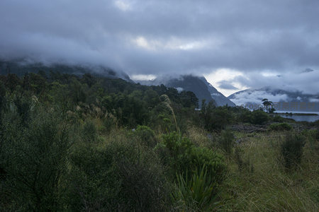 云海漫过山巅草木葱茏野趣盎然