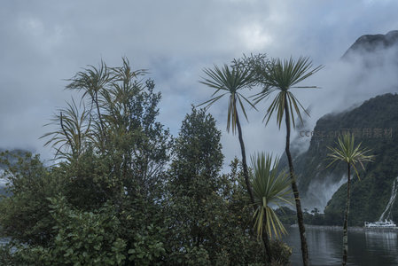 云雾缭绕的湖畔棕榈与远山
