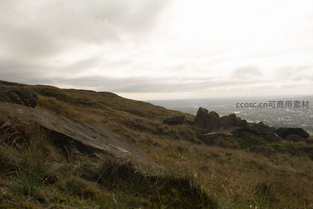 山丘草甸与远方城市天际线
