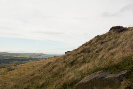 枯草覆盖的山坡与远山
