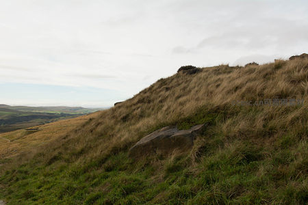 绿草与枯草交织的山丘
