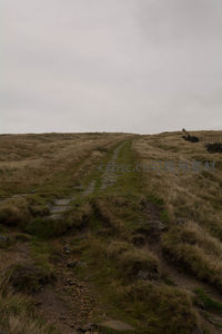 荒野草坡上的古老石板路延伸至天际