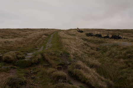 雾霭笼罩下通往未知的乡间石径