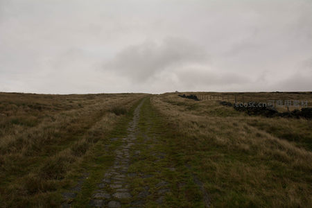 石径蜿蜒通向远方的荒野丘陵