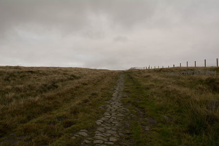 通往未知的古老石径与围栏相伴