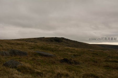 远眺山丘牧群点缀在苍茫草原间