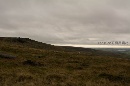 阴云笼罩的荒野山坡，几只羊在远处吃草